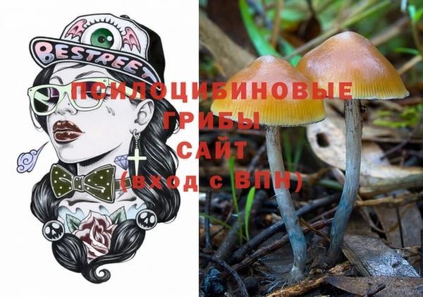таблы Богданович
