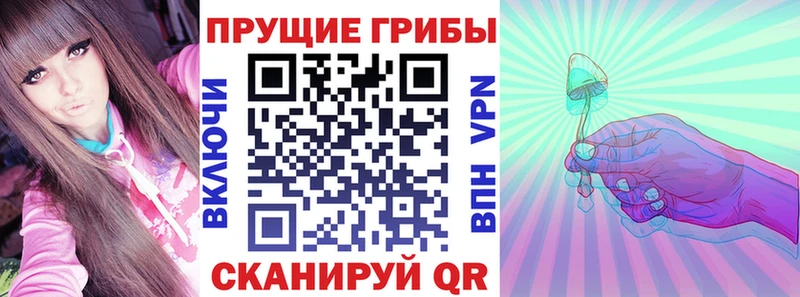 Псилоцибиновые грибы GOLDEN TEACHER Купить закладки Кизляр