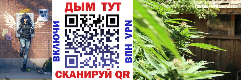 Бошки Шишки SATIVA & INDICA Купить закладки Кизляр